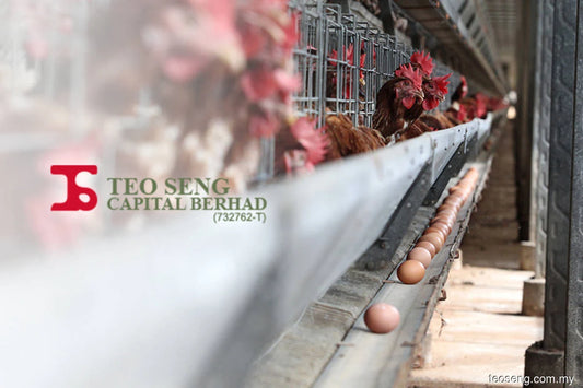 Teo Seng posts RM4 mil net profit for 2Q on improved contribution from poultry farming segment - ELITISTA